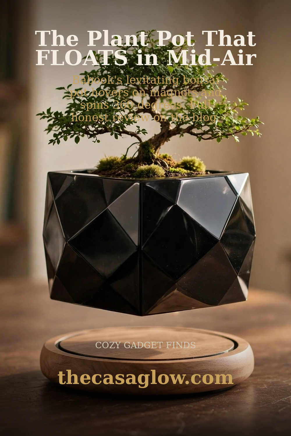 Pinterest pin: The plant pot that floats in mid-air — Babook levitating bonsai pot review