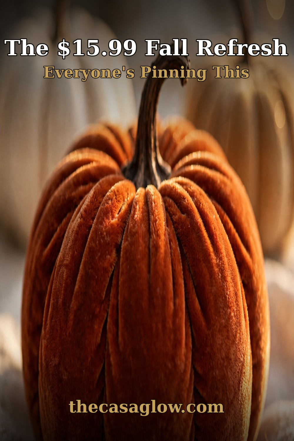 Velvet pumpkins fall decor pin